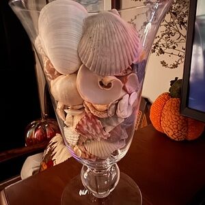 Coastal Glass Vase with Seashells